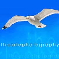 Thearle Photography 1061387 Image 1